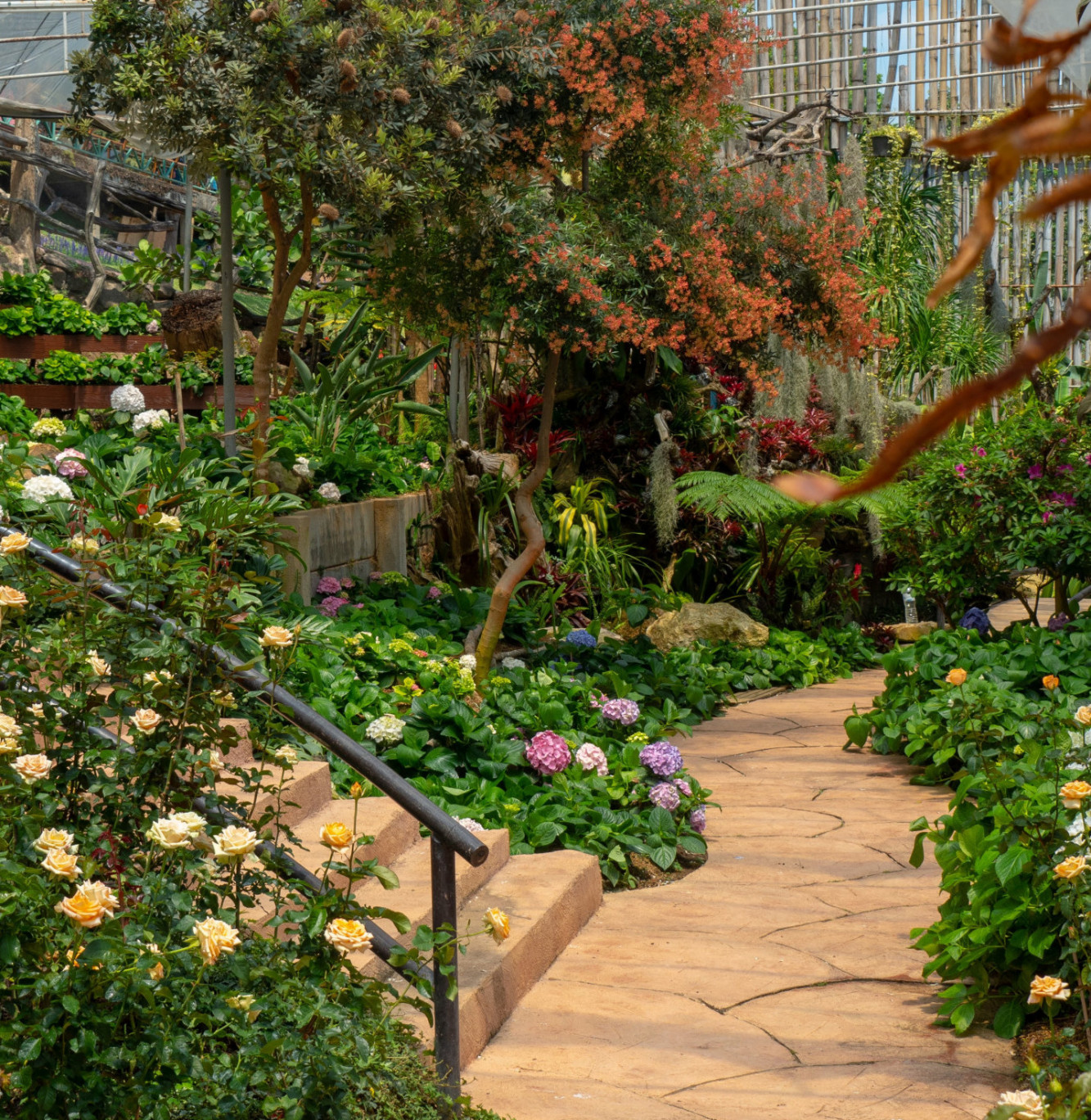 Medewerker bij Hortus Overzee